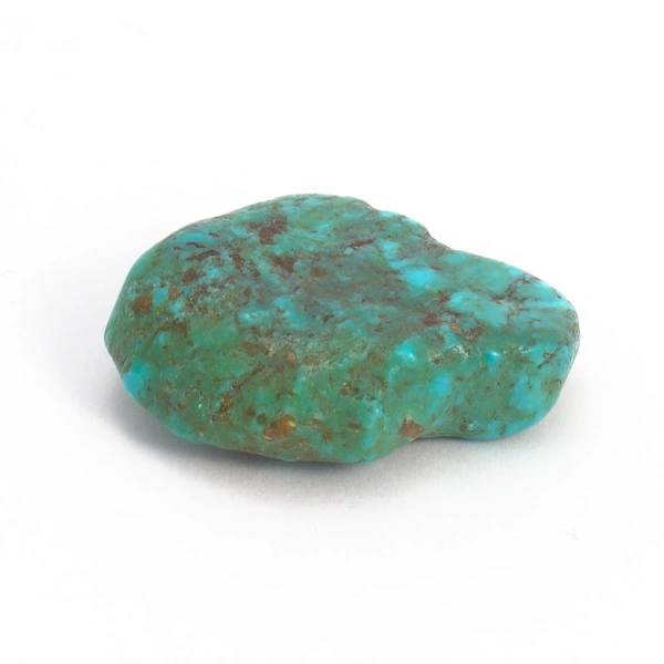 Tyrkys pravý - Image 2